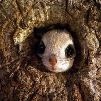 George Liu's profile picture