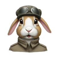 Yuanyuan Li's profile picture