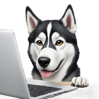 Sehrani's profile picture