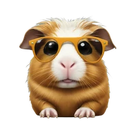 Ziyi Chen's profile picture