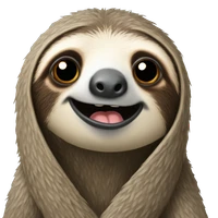 Quinn Cui's profile picture