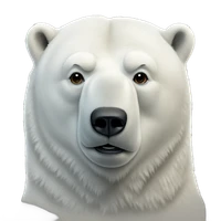 Chengyi Cai's profile picture