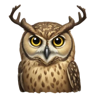 Sam's profile picture