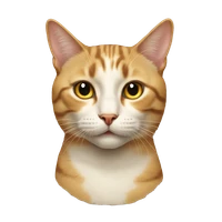 Harry Hu's profile picture