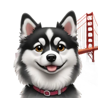 Anjali Menon's profile picture