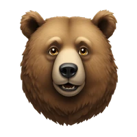 sk saif ibna ezhar arko's profile picture