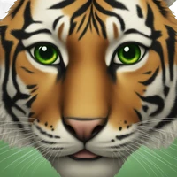 P.'s profile picture