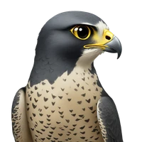 James Gibbins's profile picture