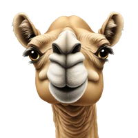 Alexandre Abraham's profile picture