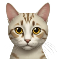 togawa soyo's profile picture