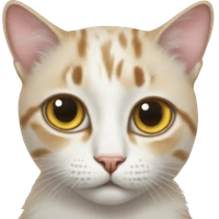 Maisarah Jalalulail's profile picture