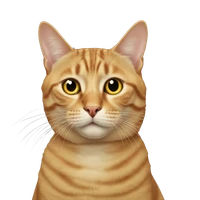 zhangbo long's profile picture