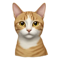 wdzhihan's profile picture