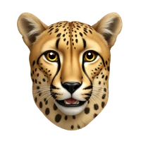 Mathis Lacombe's profile picture