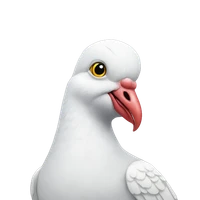 Zheyuan's profile picture