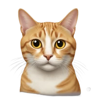 Caner Gocmen's profile picture