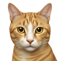 Shani Nguyen's profile picture