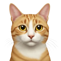 Sherly Angel Zuliany's profile picture