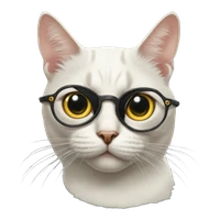 HongFei Huang's profile picture