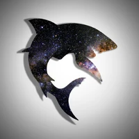 Amogh Patnaik's profile picture