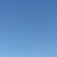 Alexander Bösecke's profile picture