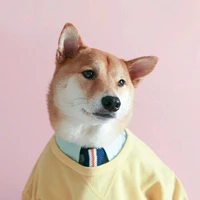 Luo Ji's profile picture