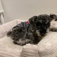 fs's profile picture