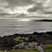 Umair Khan's profile picture