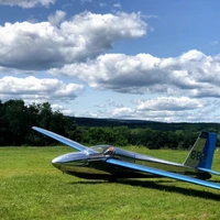 Pierre Grellet Aumont's profile picture