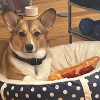 Luis Trevino's profile picture