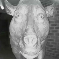 Josh A.'s profile picture