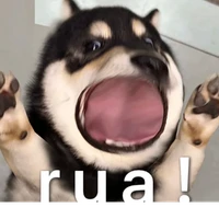 taylor's profile picture